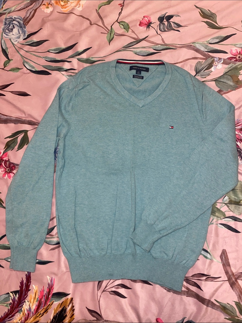 Tommy Hilfiger Men's V-Neck Sweater in Light Teal, 100% Cotton